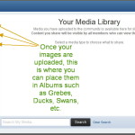 Where to choose an uploaded image from your Media Library