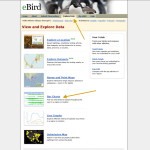 eBird Explore Data Page