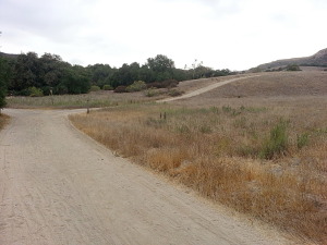 Approaching Vista Ridge Trail off the Oak Canyon Trail