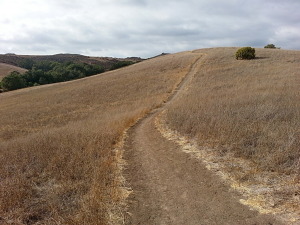 Pheasant Run Trail