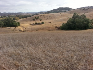 Looking back at Mule Deer Trail - Riley Wilderness Park