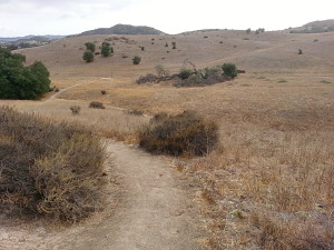 Heading back to Mule Deer Trail - Riley Wilderness Park