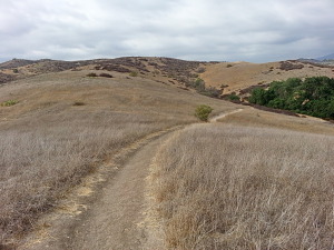 Pheasant Trail - Riley Wilderness Park