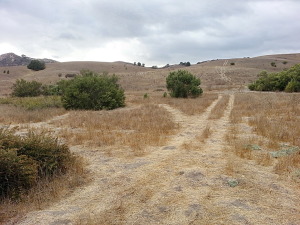Oak Canyon Trail south of the Butterfly Garden