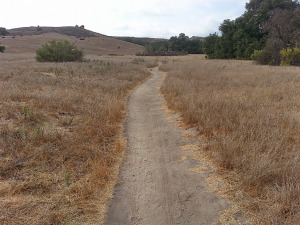 Birds At Riley Wilderness Park