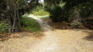 South East end of park on the South Wagon Wheel Canyon Trail