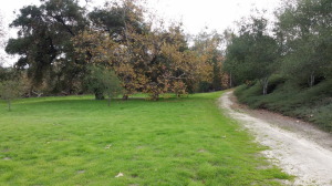 South East end of park on the South Wagon Wheel Canyon Trail