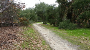 riley_regional_park3_resize
