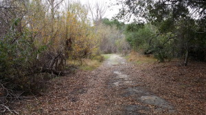 south end of trail near Sanctuary and Pond area