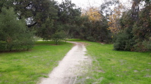 South East end of Thomas F. Riley Wilderness Park on the South Wagon Wheel Canyon Trail