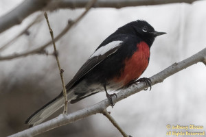 Photo taken at Irvine Lake, Irvine, CA on January 28, 2016